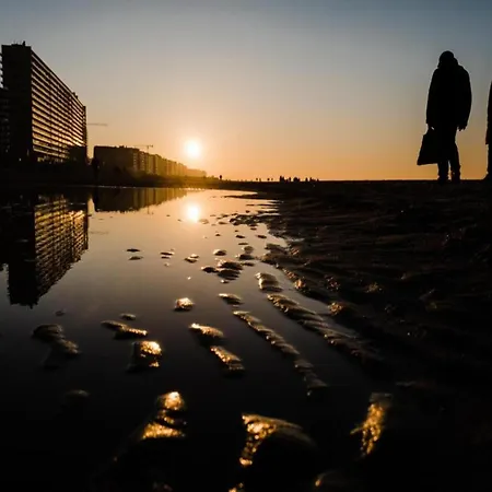 Apartament In Raversijde With Stunning Sea Views *