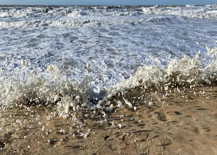 In Raversijde With Stunning Sea Views Daire *